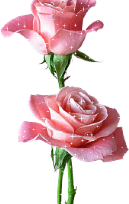 Roses - Fleurs - Gif scintillant - Gratuit