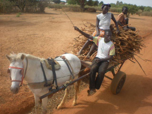 Album - senegal-2010