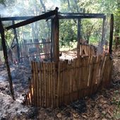Incêndio criminoso destrói construções tradicionais na Aldeia Multiétnica Filhos da Terra, em Guarulhos (SP) | Cimi