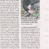 Le TEAM dans la presse locale