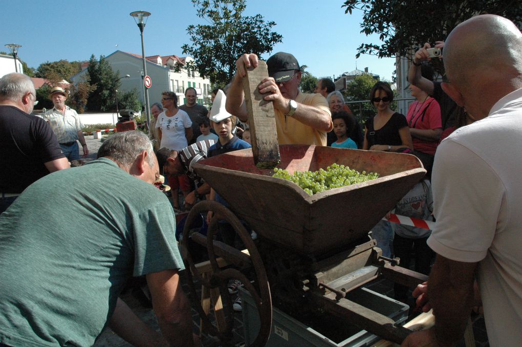 Album - Vendange-2009---Les-3-grappes