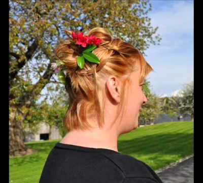 coiffure sur cheveux court ( à l'epaule)