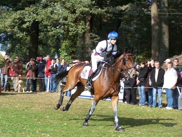 Concours Complet International **** &agrave; Pau, domaine de Sers.<br />D&eacute;placement organis&eacute; par Chevalandrau pour assiter &agrave; l'&eacute;preuve de cross. <br />Le spectacle &eacute;tait bien l&agrave; ! Les grands champions aussi... et les membres de Chevalandrau n'en ont pas rat&eacute; une miette.