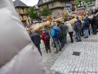 Les Marches de l'estive de Saint Côme d'Olt (Camping-car-club-Beauce-Gâtinais)