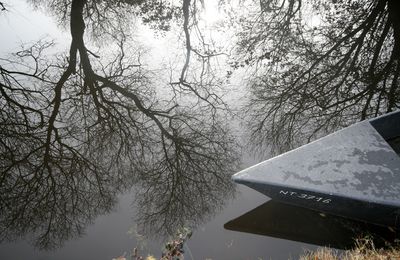 Hiver en Brière