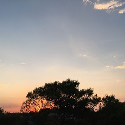 Un blog pour le plaisir et la poésie des mots : merci à tous mes lecteurs...