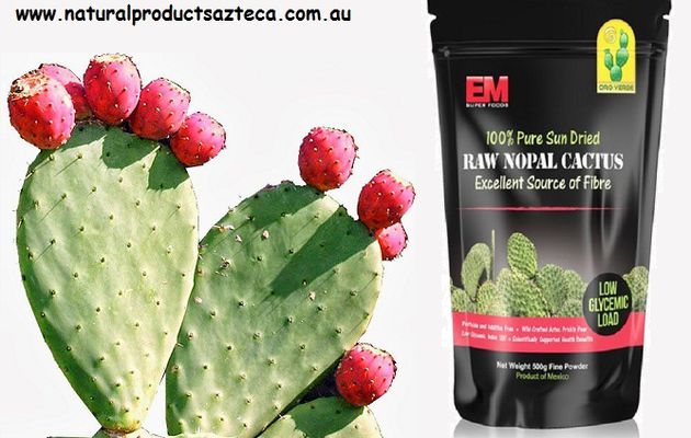 Some Indispensable Medicinal Values of Prickly Pear