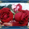 Ces quelques roses pour Toi Marie-France en te souhaitant une bonne rentrée chez Toi et encore prompt rétablissement