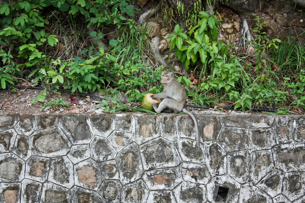 Album - Kampot-Kep