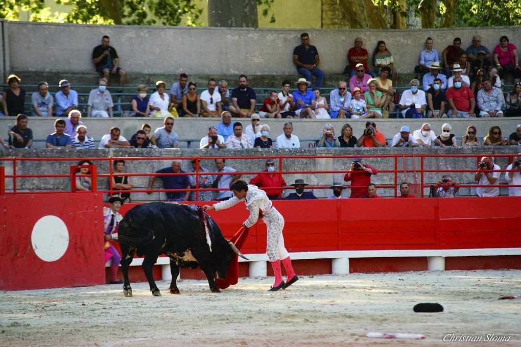      À L’OMBRE DES PLATANES, L’OREILLE D’OR À FRANCISCO MONTERO