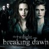 Twilight breaking Dawn