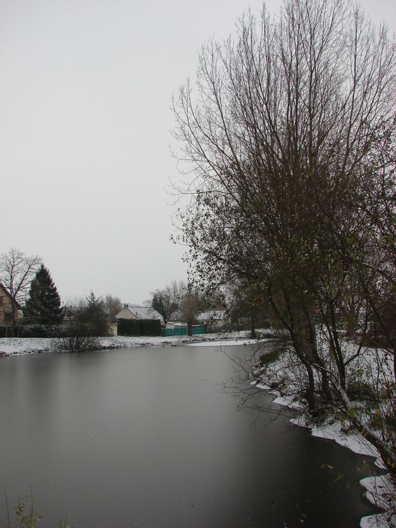 THE WINTER 2010 OR THE WHITE HELL. Sélection de photographies prises entre le 2 décembre et le 19 décembre 2010 à l'Etang de Fouilloy, la Place de la République de Corbie et la Somme.
Photos prises avec un SONY DSC-H2.  (C) DAVID NOGENT/ADAGP. A