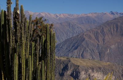 Le cañon de Colca