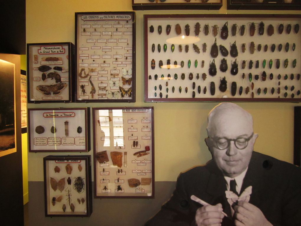 ste CECILE LES VIGNES  et son musée dedié a son instituteur monsieur LOUIS GAUTHIER  entomologiste , archeologue .