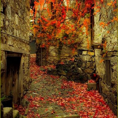 Images d'automne