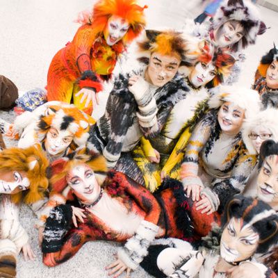 Tout sur la chanson &quot;Memory&quot; de la comédie musicale &quot;Cats&quot;