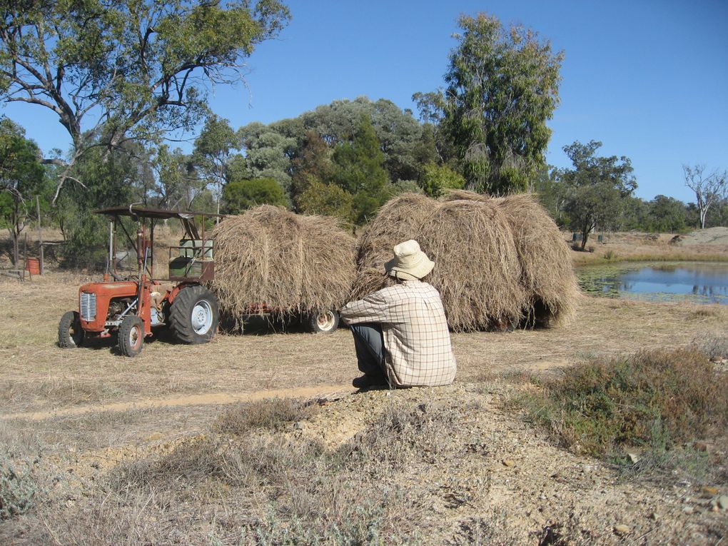 Album - WWOOF-outback