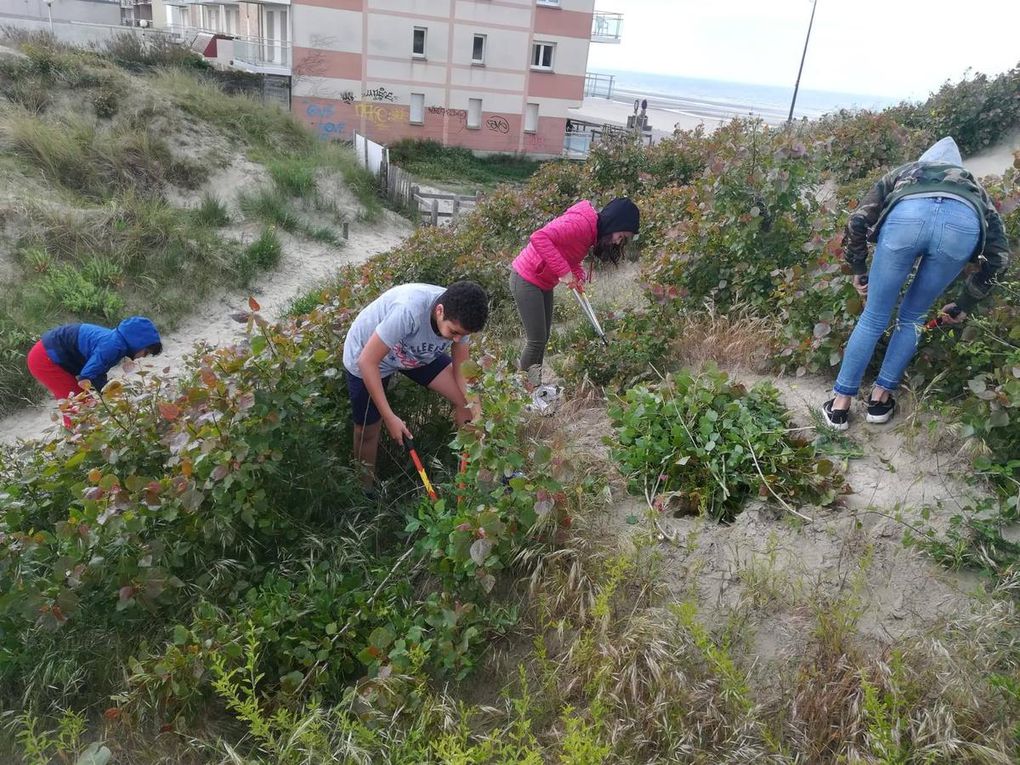 SMFR19 Chantier de gestion de coupes