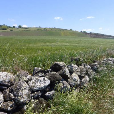 Chemin de Stevenson : Puy-en-Velay > Le Monastier-sur-Gazeille