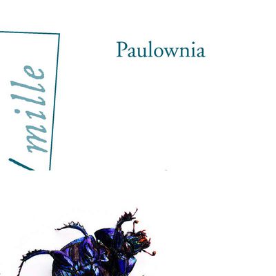 Chronique, Paulownia, de Sylvie Bocqui, éd. Arléa