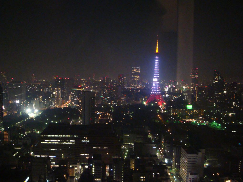 La capitale du Japon, une ville où le temps semble être accéléré: Tokyo !