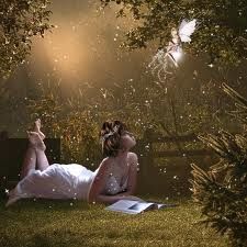 Pomme de terreFier396281