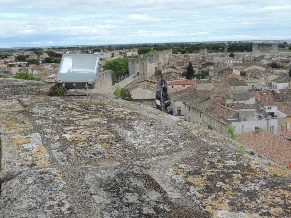 Aigues Mortes (Donjon et Remparts).