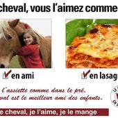 Top 14 des meilleurs détournements de " l'affaire " du cheval de Findus