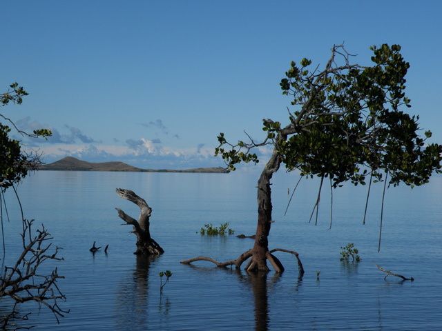 Voici notre petit environnement où nous avons vécu durant deux mois à notre arrivée à Koné. Notre logement était loti au milieu de la mangrove au bord de la mer. IL fallait faire 11 Km de piste pour y arriver. C'est ce qui a achevé notre twin