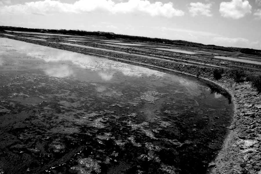 Album - Les Marais-salants de Guerande en noir et blanc