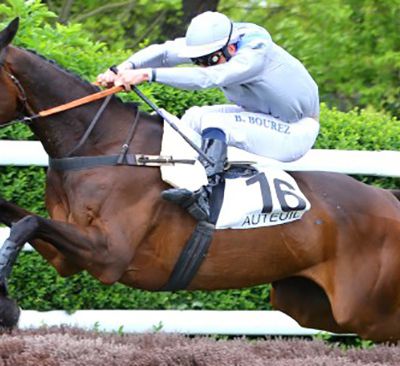 Quinté Dimanche à Auteuil : Ykar, pour un rachat (by Simon)