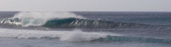 5 semaines sur Hawaii... un séjour pour le bodysurf... et les vagues ou plutot les VAGUES.