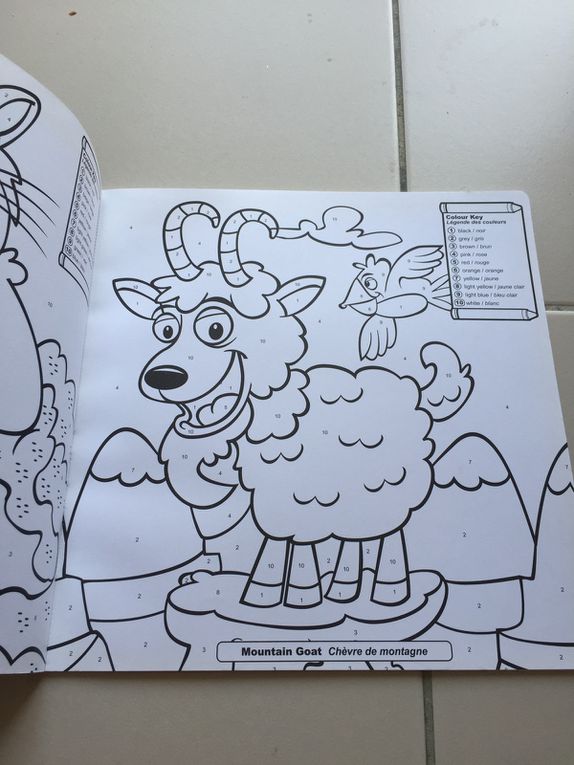 livre de coloriage par numero -animaux - bilingue - beaverbooks  sur charlotteblablablog