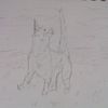 croquis "le chat"