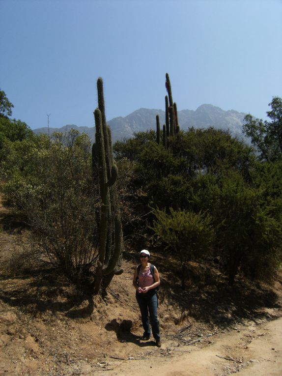 Album - palmar-de-Ocoa