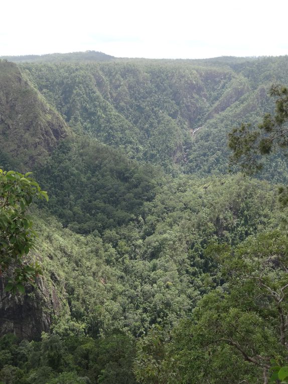 Album - 55. Nord du Queensland et Darwin (Queensland - avril)