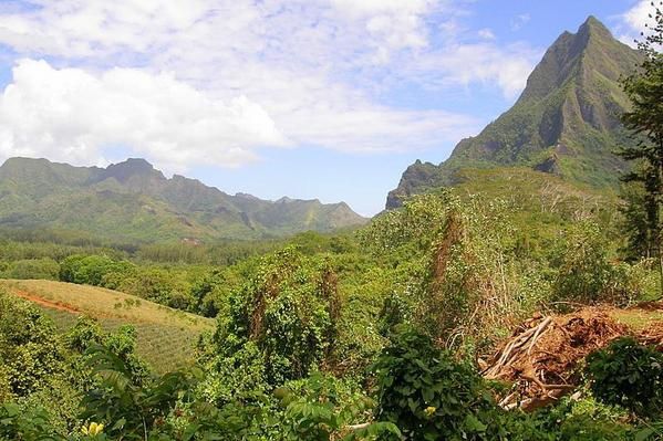 Album - Week-end---MOOREA