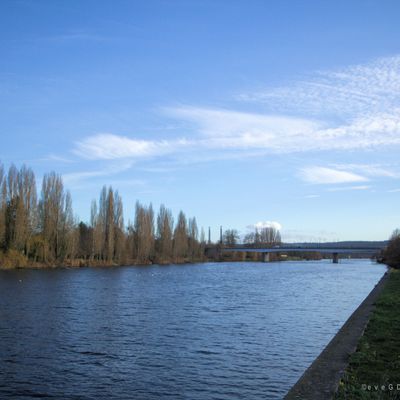 Bords de Seine... fin Décembre