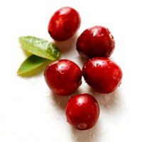 Les gênes urinaires, les biens faits du Cranberry - Acygil®