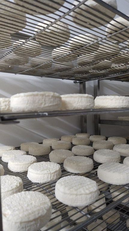 Les fromages et le miel de Julien