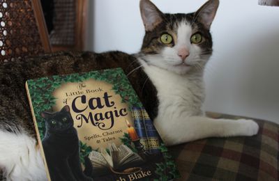 The Little Book of Cat magic