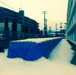 Visite de Fukushima - Voyage de Corinne Morel-Darleux au Japon