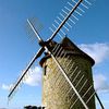 Le moulin à vent et l’écologie