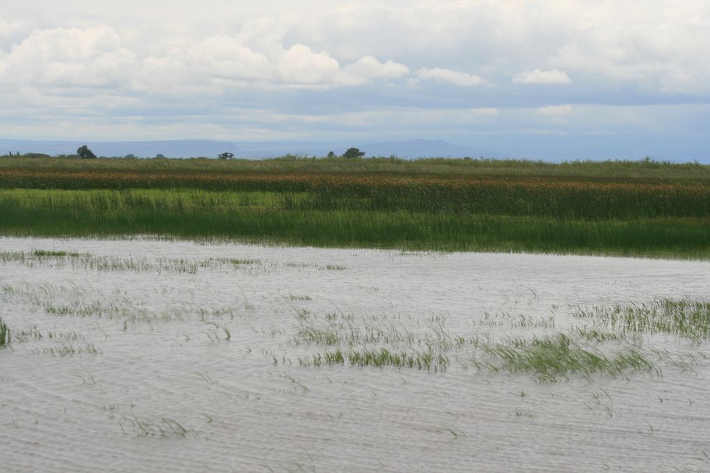 Album - Lake-Langano