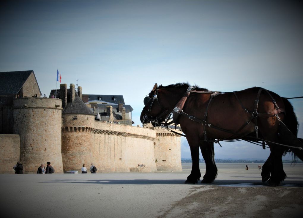 Les &quot;bancales&quot; à Cancale 