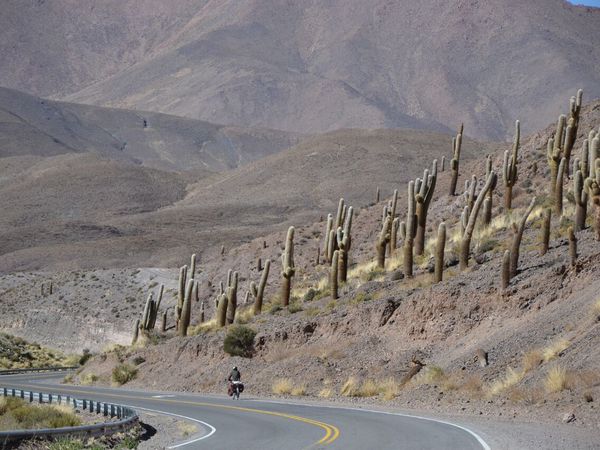 San Pedro de Atacama - Salta (Argentina) - 527km - Balade aux sommets