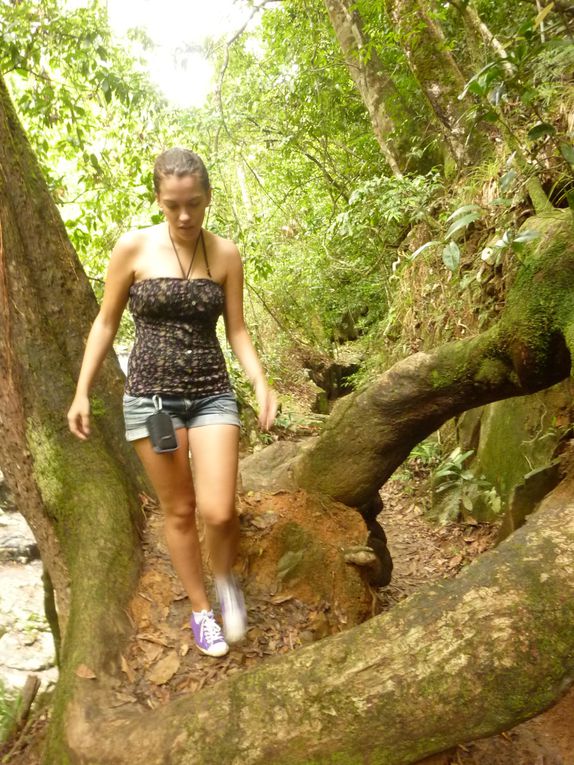 Album - Cairns---Rainforest.-Waterfalls--Beach