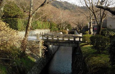 Kyoto - Philosopher's Walk