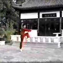 Taijiquan Chen à la source