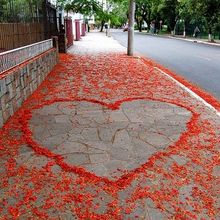 L'amour sur un trottoir